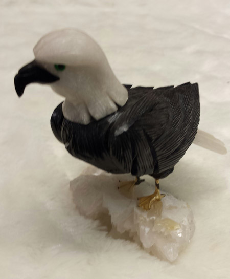 Seeadler Image